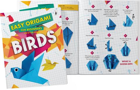 Easy Origami For Beginners (8 Vol. Set)
