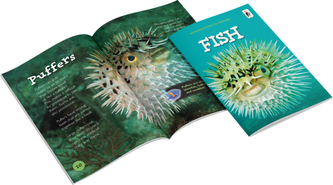 Introduction To Nature (10 Volume Set)