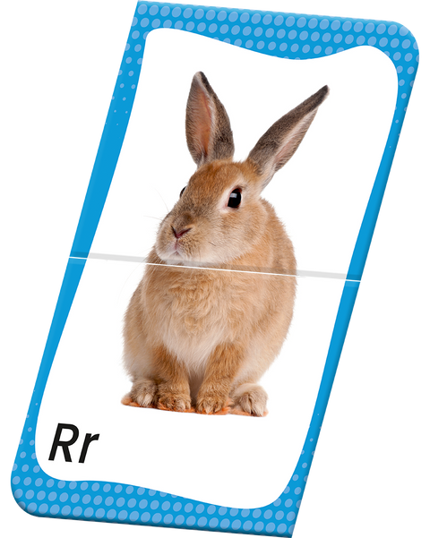 Slide & Learn Flash Cards - ALPHABETS