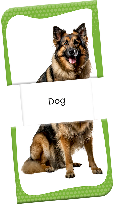 Slide & Learn Flash Cards - FARM ANIMALS & THEIR BABIES