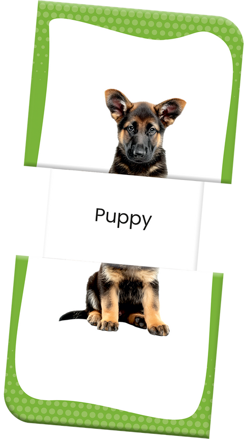 Slide & Learn Flash Cards - FARM ANIMALS & THEIR BABIES