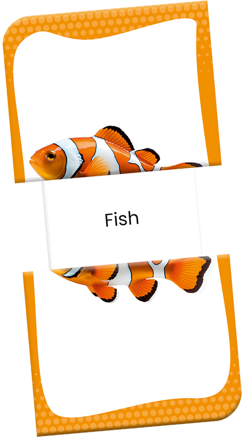 Slide & Learn Flash Cards - FIRST WORDS