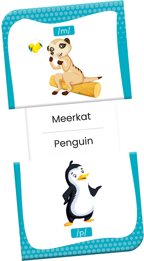 Slide & Learn Flash Cards - PHONIC SOUNDS