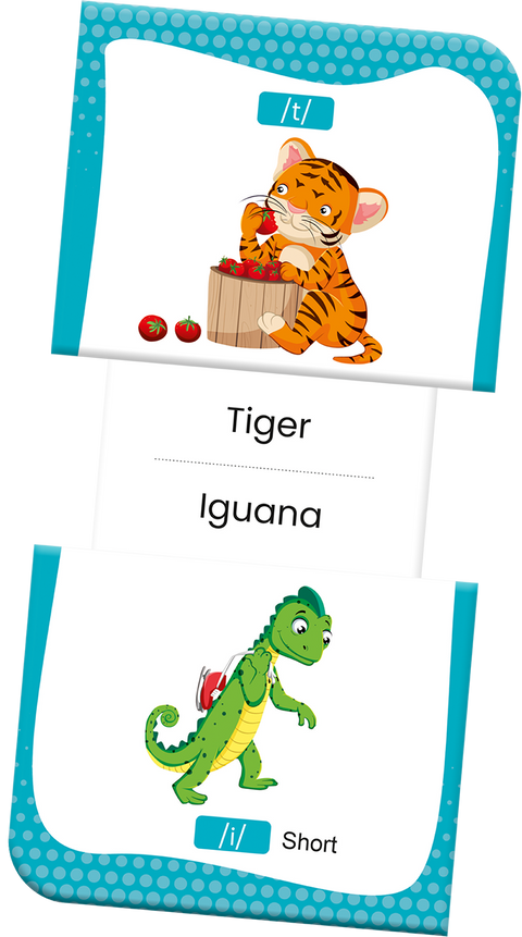 Slide & Learn Flash Cards - PHONIC SOUNDS