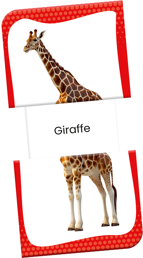 Slide & Learn Flash Cards - WILD ANIMALS & THEIR BABIES