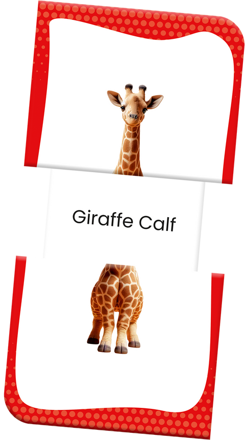 Slide & Learn Flash Cards - WILD ANIMALS & THEIR BABIES
