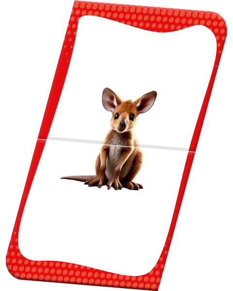 Slide & Learn Flash Cards - WILD ANIMALS & THEIR BABIES