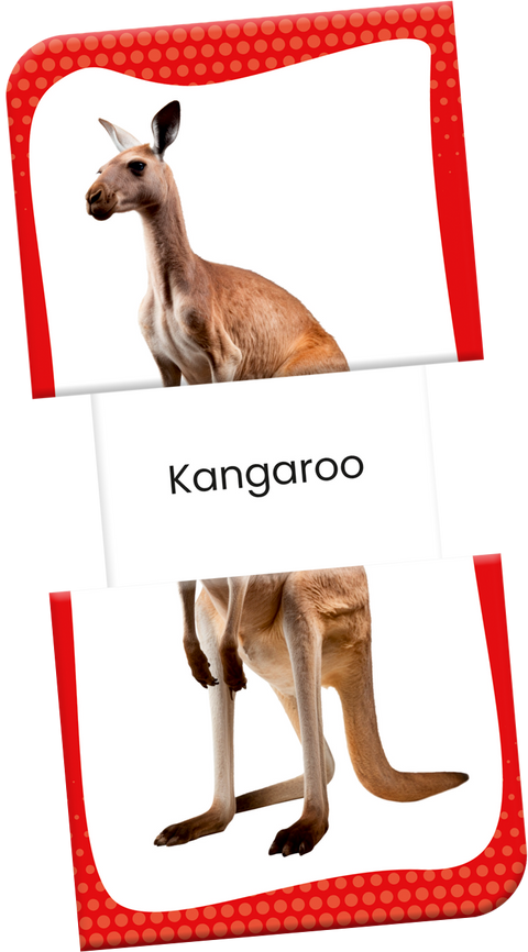 Slide & Learn Flash Cards - WILD ANIMALS & THEIR BABIES