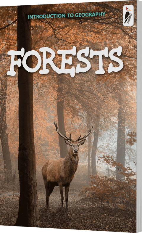 Forests