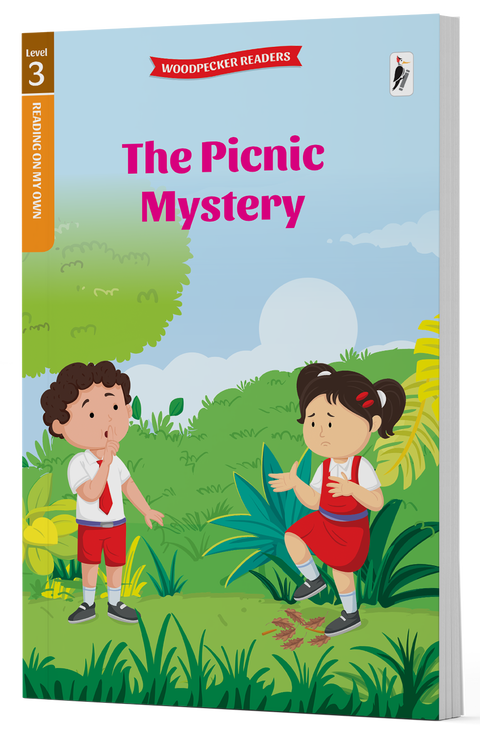 The Picnic Mystery