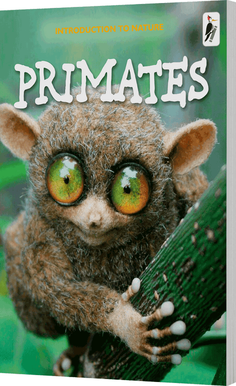 Primates