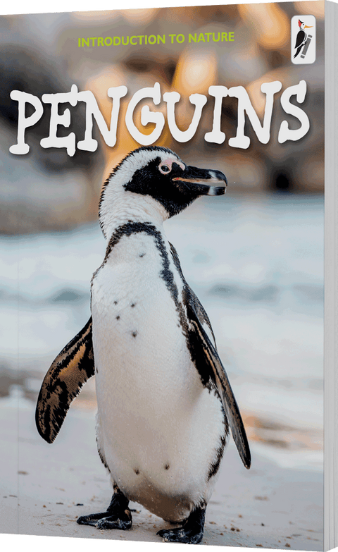 Penguins