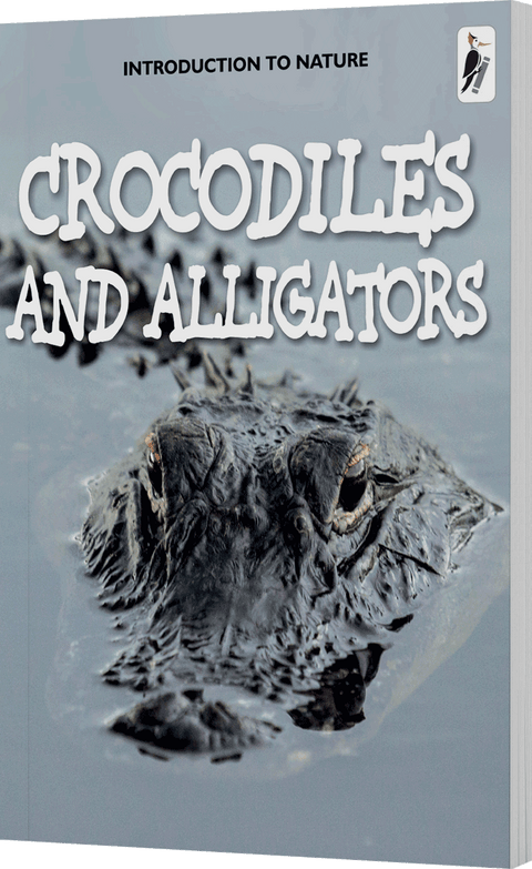 Crocodiles and Alligators