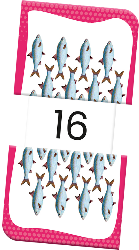 Slide & Learn Flash Cards - NUMBERS