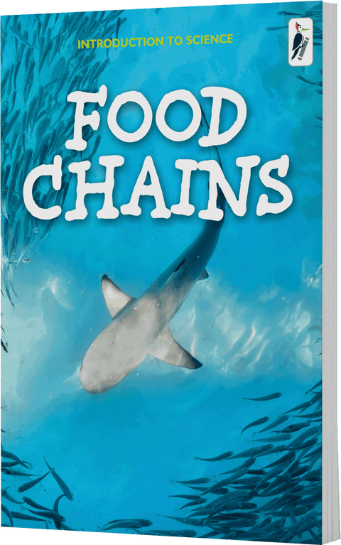 Food Chains