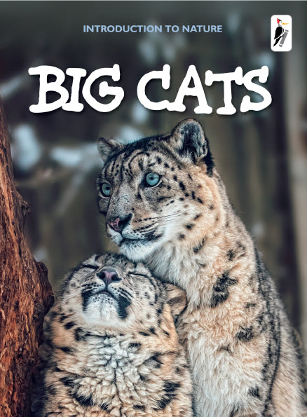 Big Cats