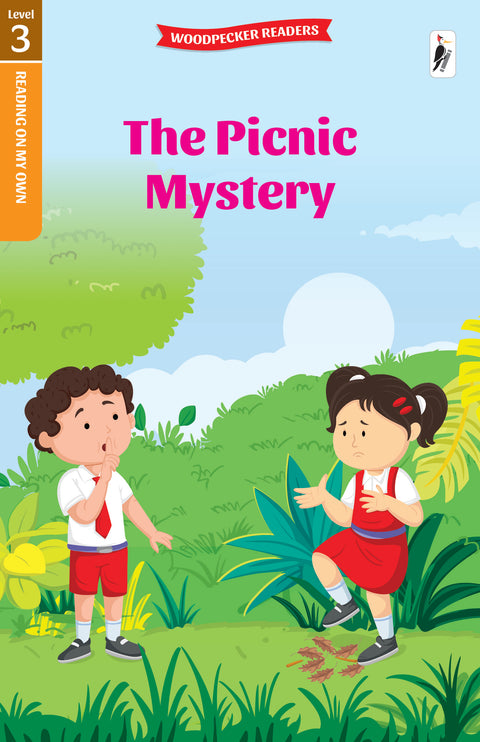 The Picnic Mystery